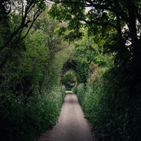 An image of a countryside lane